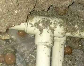 江州测漏水多少钱