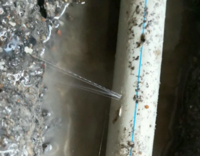 江州测漏水哪家好