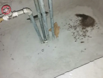 江州卫生间测漏水价格明细