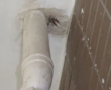 江州漏水检测哪家好